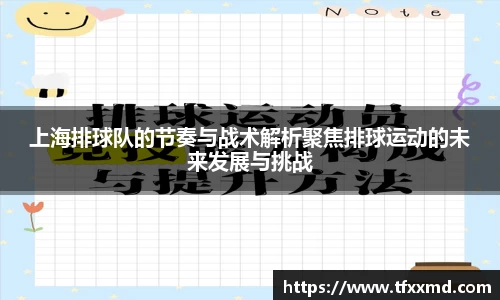 上海排球队的节奏与战术解析聚焦排球运动的未来发展与挑战